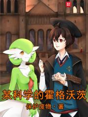 某霍格沃兹