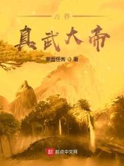 万界真武大帝顶点