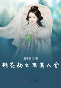 什么揽月