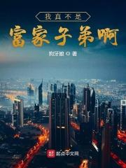 我真的不是富二代笔趣阁