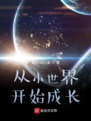 从小世界飞升到大世界的