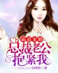 总裁老公抱抱我