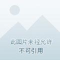 重生成为梦幻