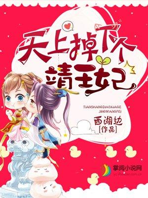 天上掉下个靖王妃免费观看