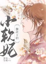 摄政王小软妃最惊艳的三个作品