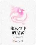 人生中的过客经典词语