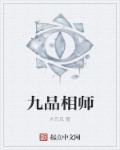 超品相师九品之上是什么境界