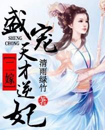 二婚盛嫁