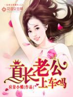 宠妻太疯狂