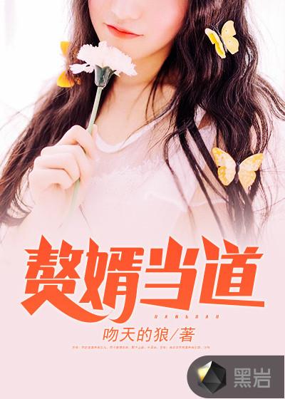 我是赘婿114中文网