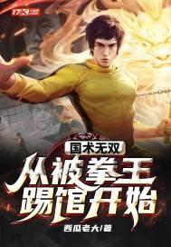 国术之神拳无敌笔趣