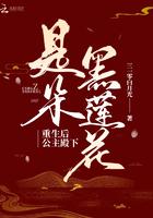 重生后公主殿下是朵黑莲花晋江